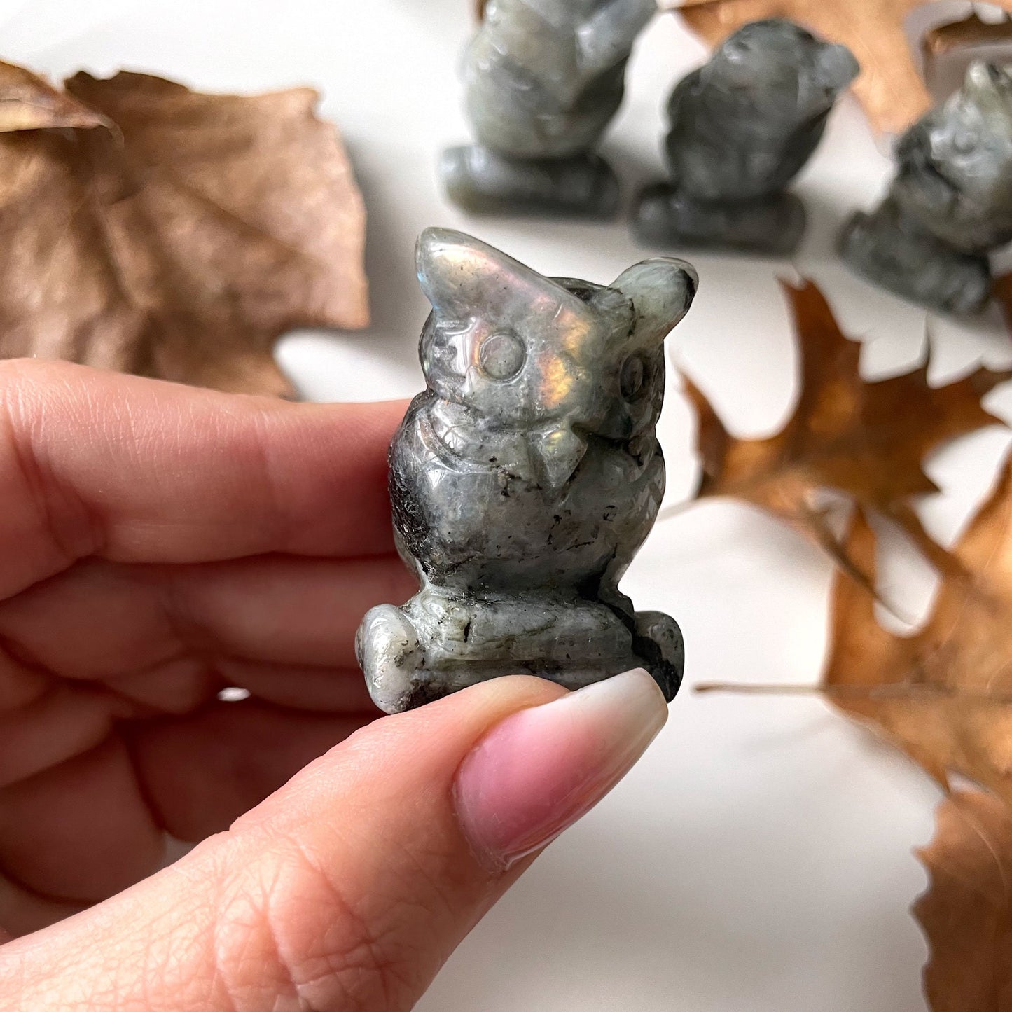 Labradorite Carved Owl | Transformation | Divine Connection | Crown + Third Eye Chakra | Meditation Palm Stone - Sole Luna