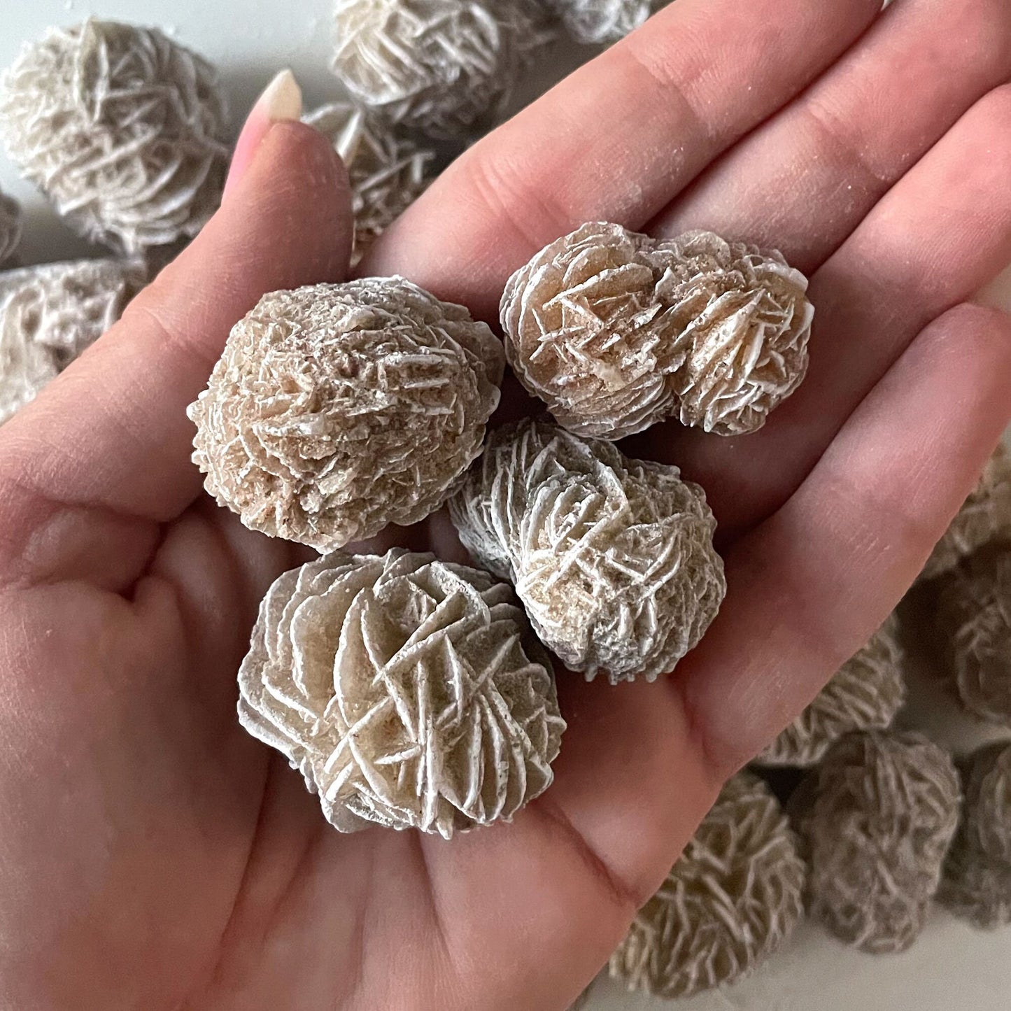 Desert Rose Selenite from Mexico | Gypsum | Purification | Detoxification | Protection | Intuition | Clears Negativity - Sole Luna