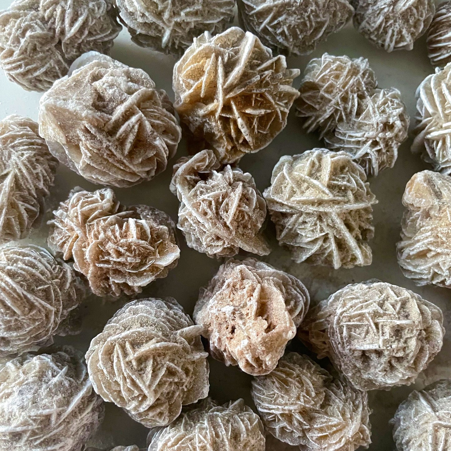 Desert Rose Selenite from Mexico | Gypsum | Purification | Detoxification | Protection | Intuition | Clears Negativity - Sole Luna