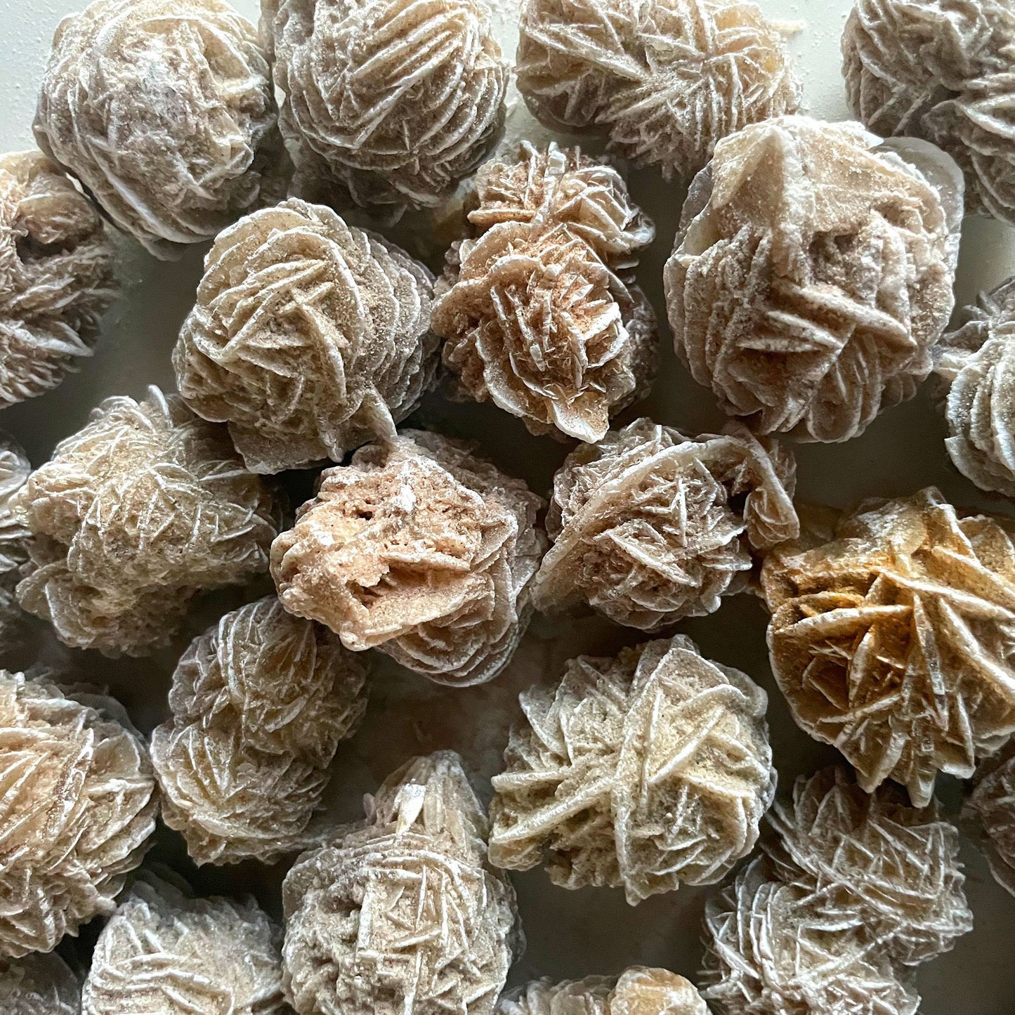Desert Rose Selenite from Mexico | Gypsum | Purification | Detoxification | Protection | Intuition | Clears Negativity - Sole Luna