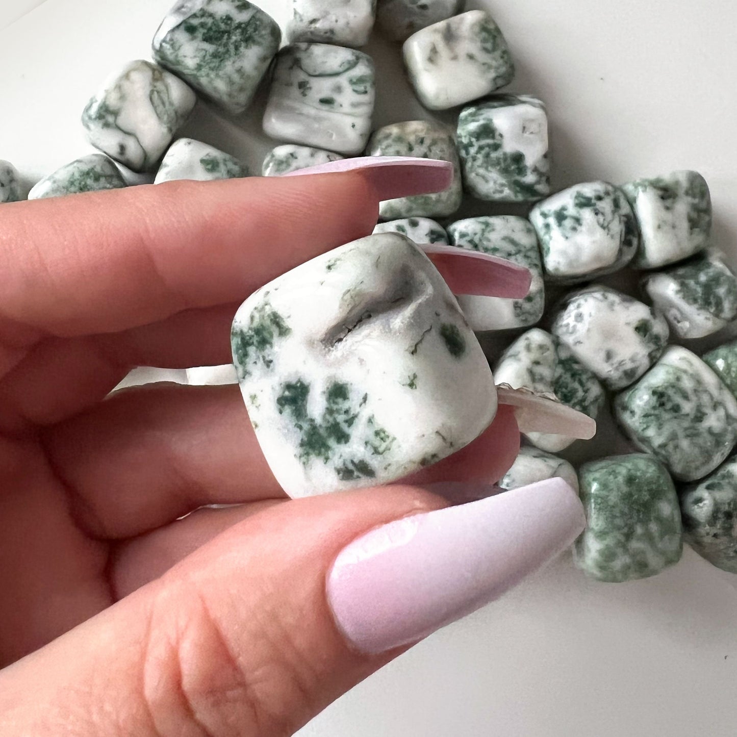 Tree Agate Tumbled Stone | Life Cycles | Heart Healing | Family Bonds | Strength | Abundance - Sole Luna
