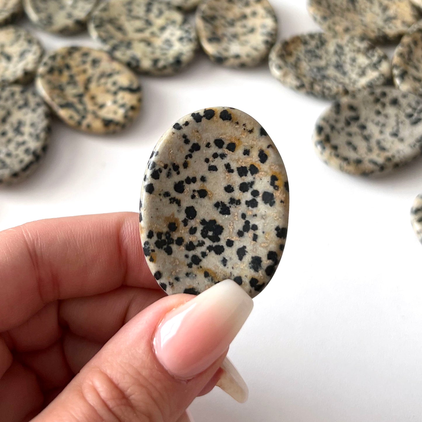 Dalmatian Jasper Worry Stone