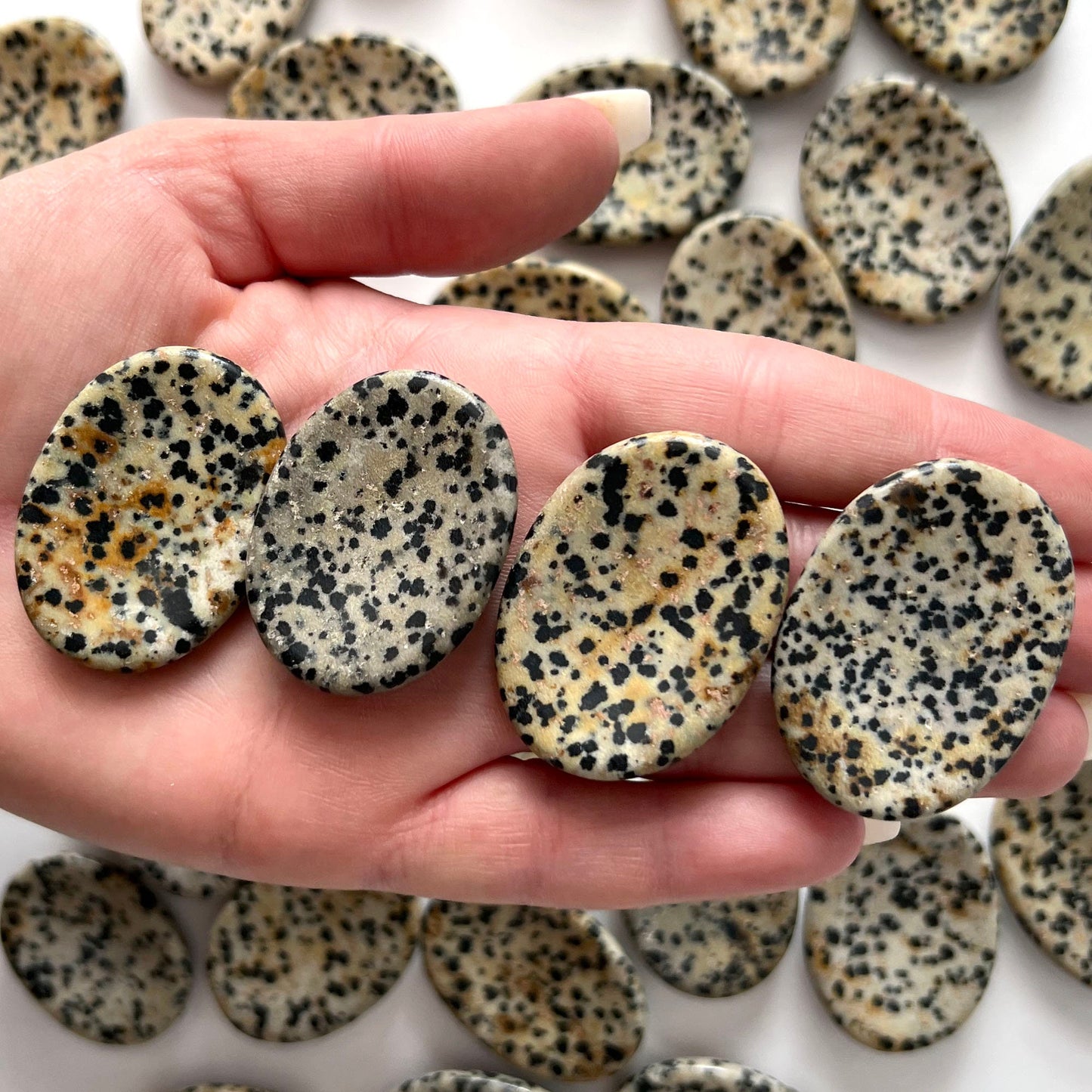 Dalmatian Jasper Worry Stone