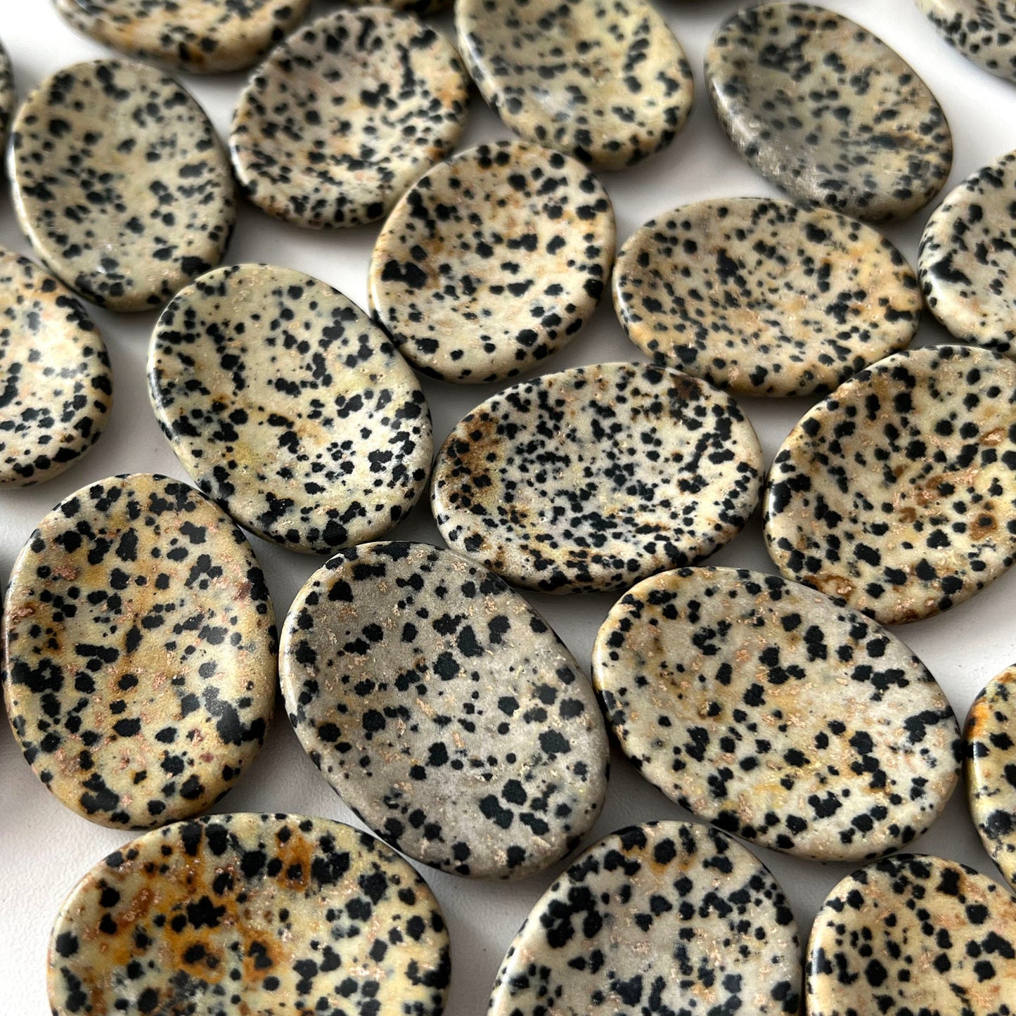 Dalmatian Jasper Worry Stone