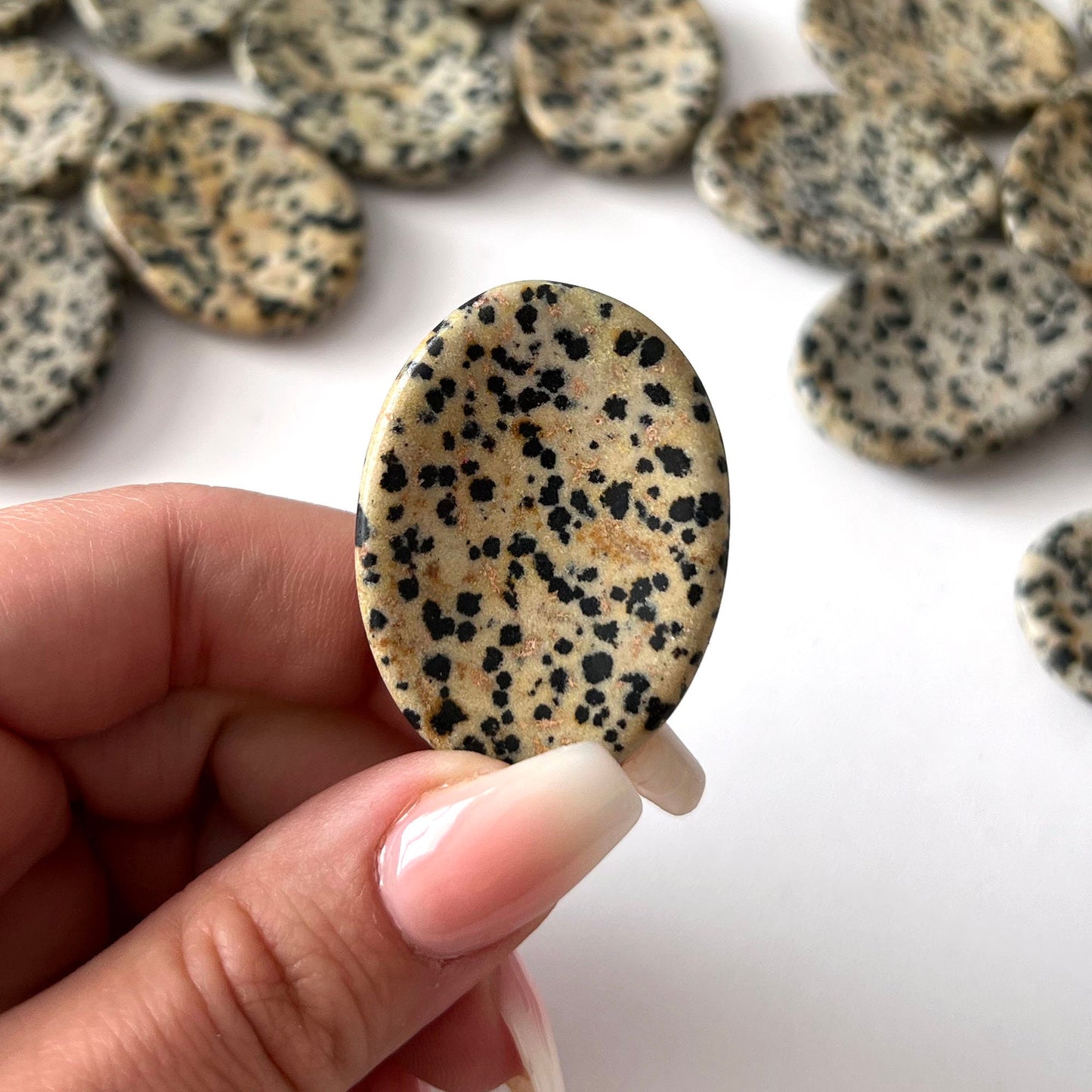 Dalmatian Jasper Worry Stone
