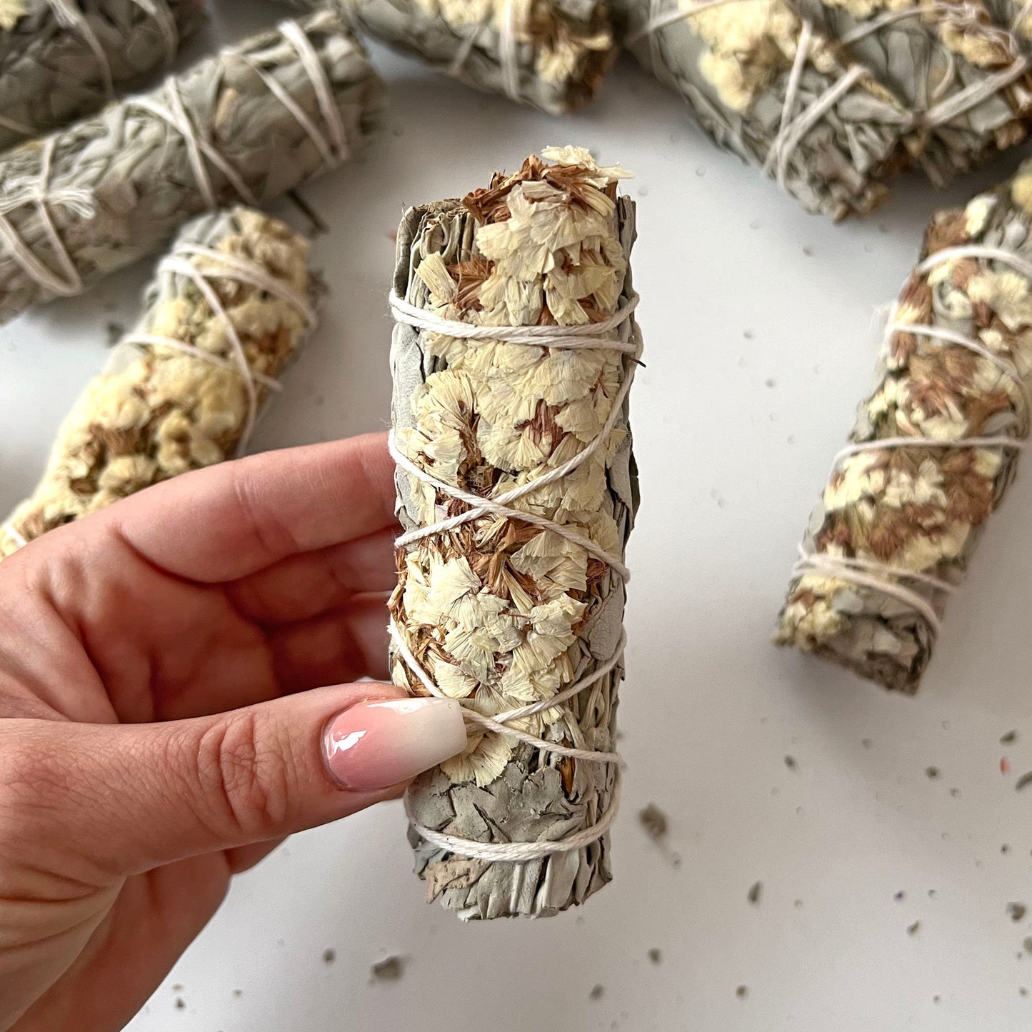 White Sinuata And White Sage Bundle | Smudge Stick | Energy Cleansing - Sole Luna