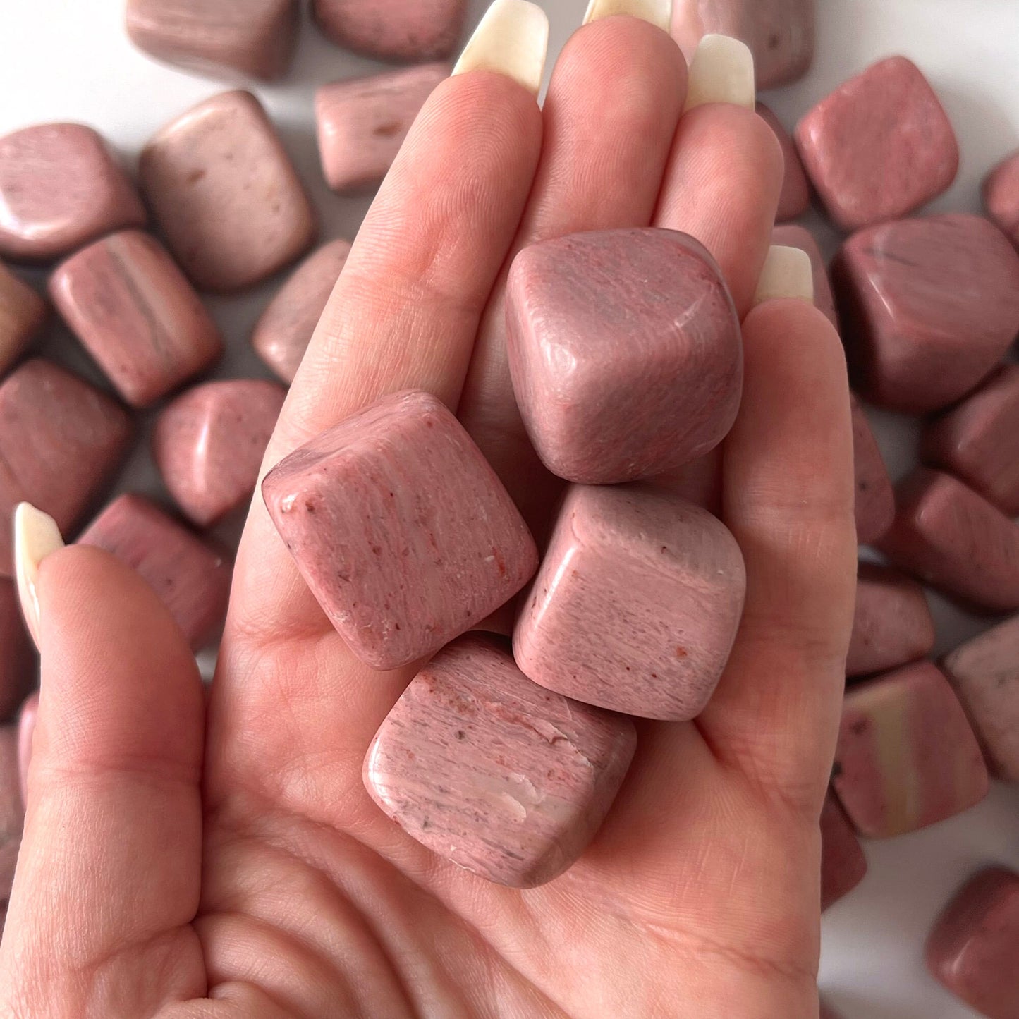 Pink Petrified Wood Tumbled Stone | Ancestral Wisdom | Love | Compassion | Past Life Recall - Sole Luna