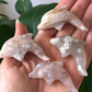 Flower Agate Dolphin Carving