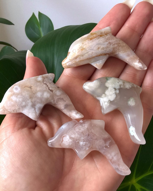 Flower Agate Dolphin Carving