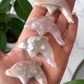 Flower Agate Dolphin Carving