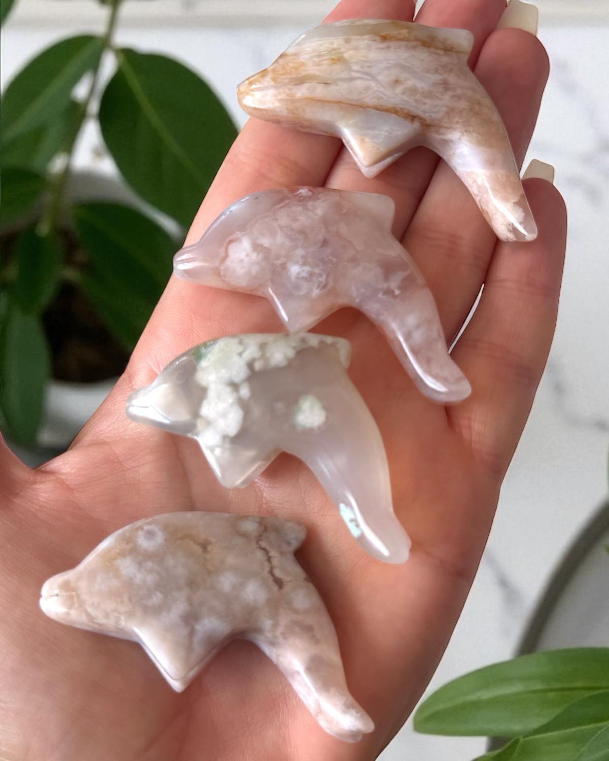 Flower Agate Dolphin Carving