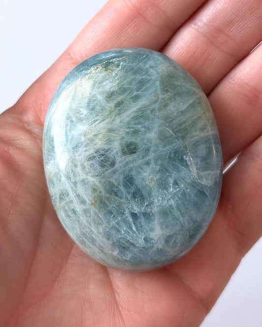 Aquamarine Palm Stone