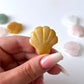 Assorted Mini Seashell Carving