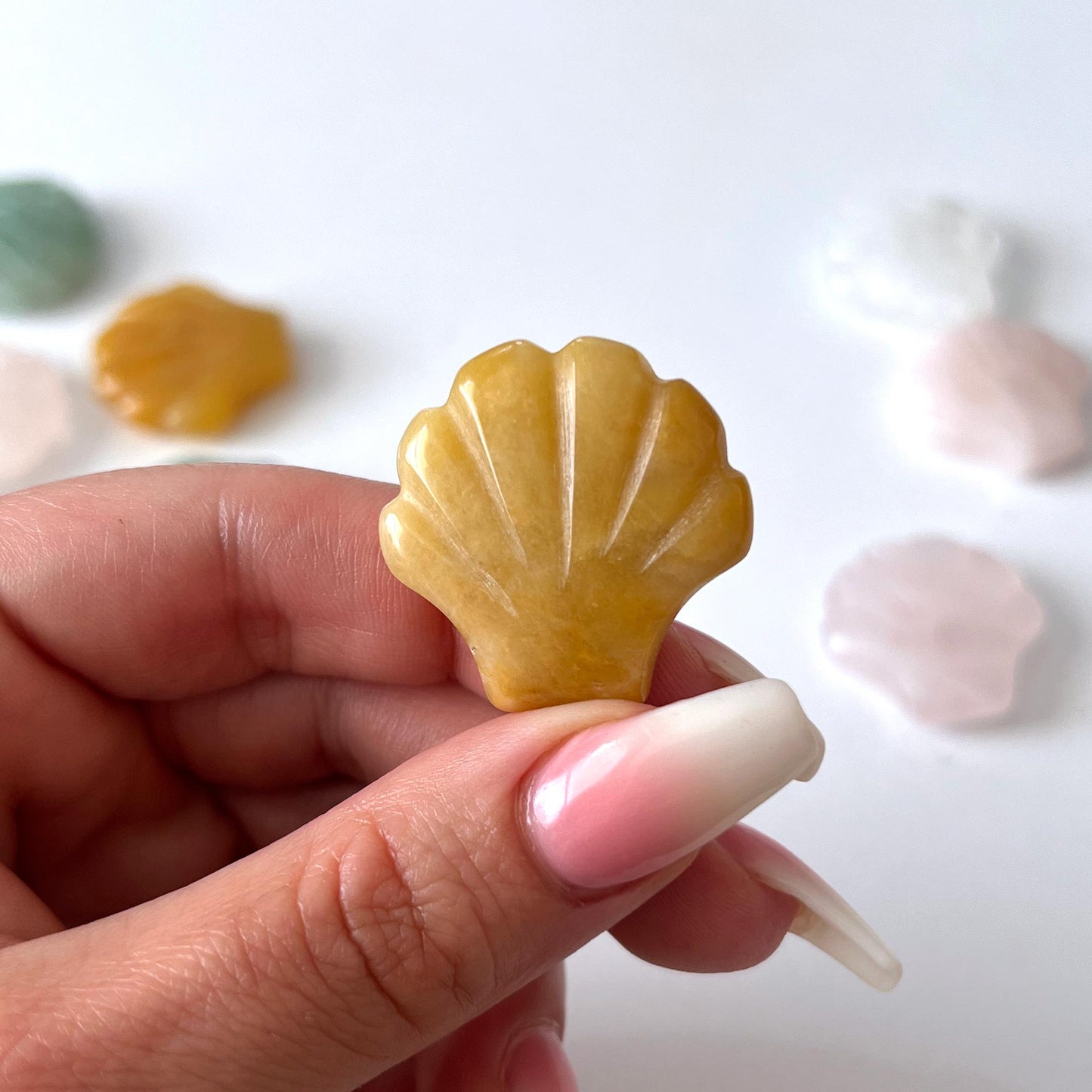 Assorted Mini Seashell Carving