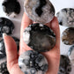 Black Flower Agate Palm Stone