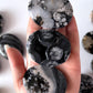 Black Flower Agate Palm Stone