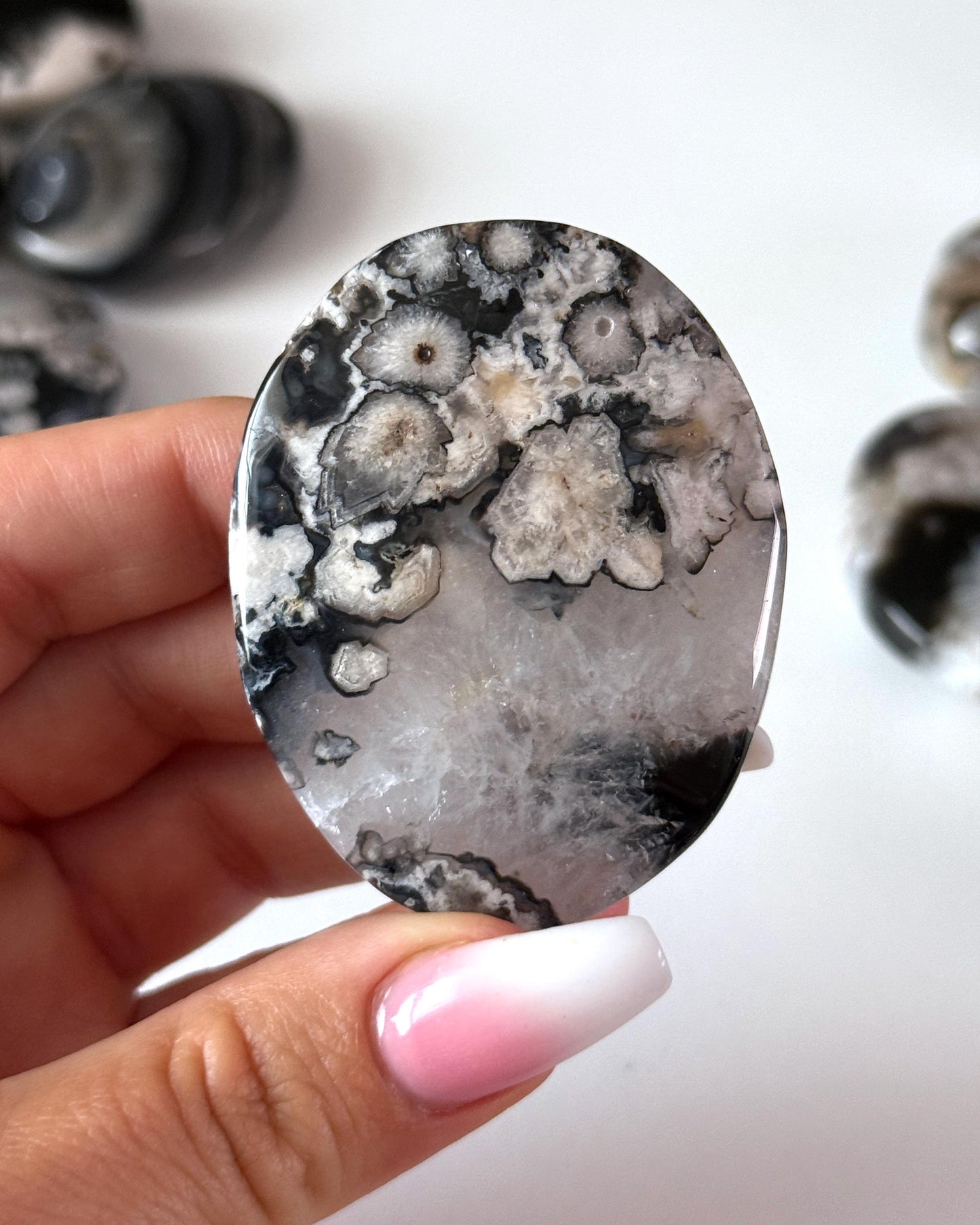 Black Flower Agate Palm Stone