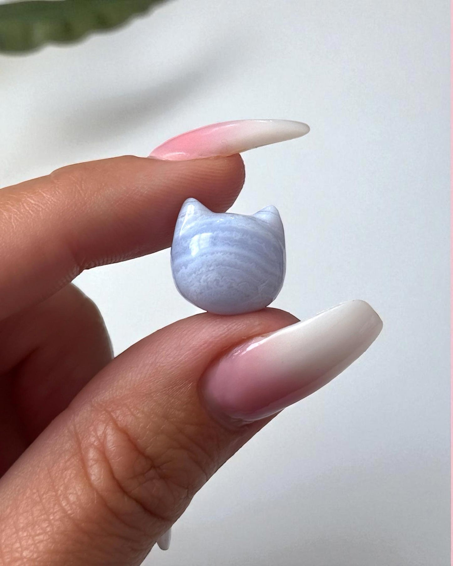 Blue Lace Agate Kitty Face Mini Carving