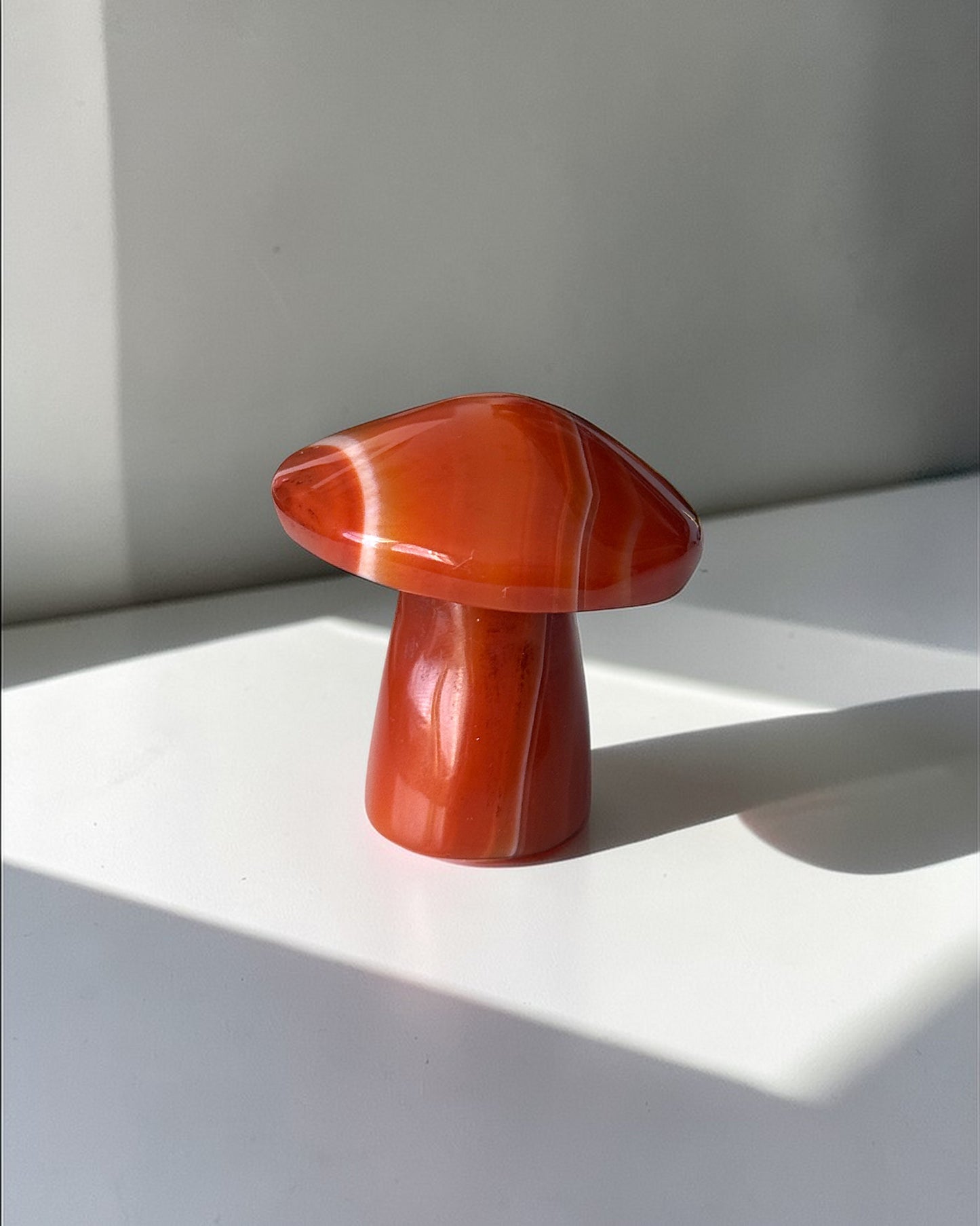 Carnelian Mushroom