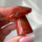 Carnelian Mushroom