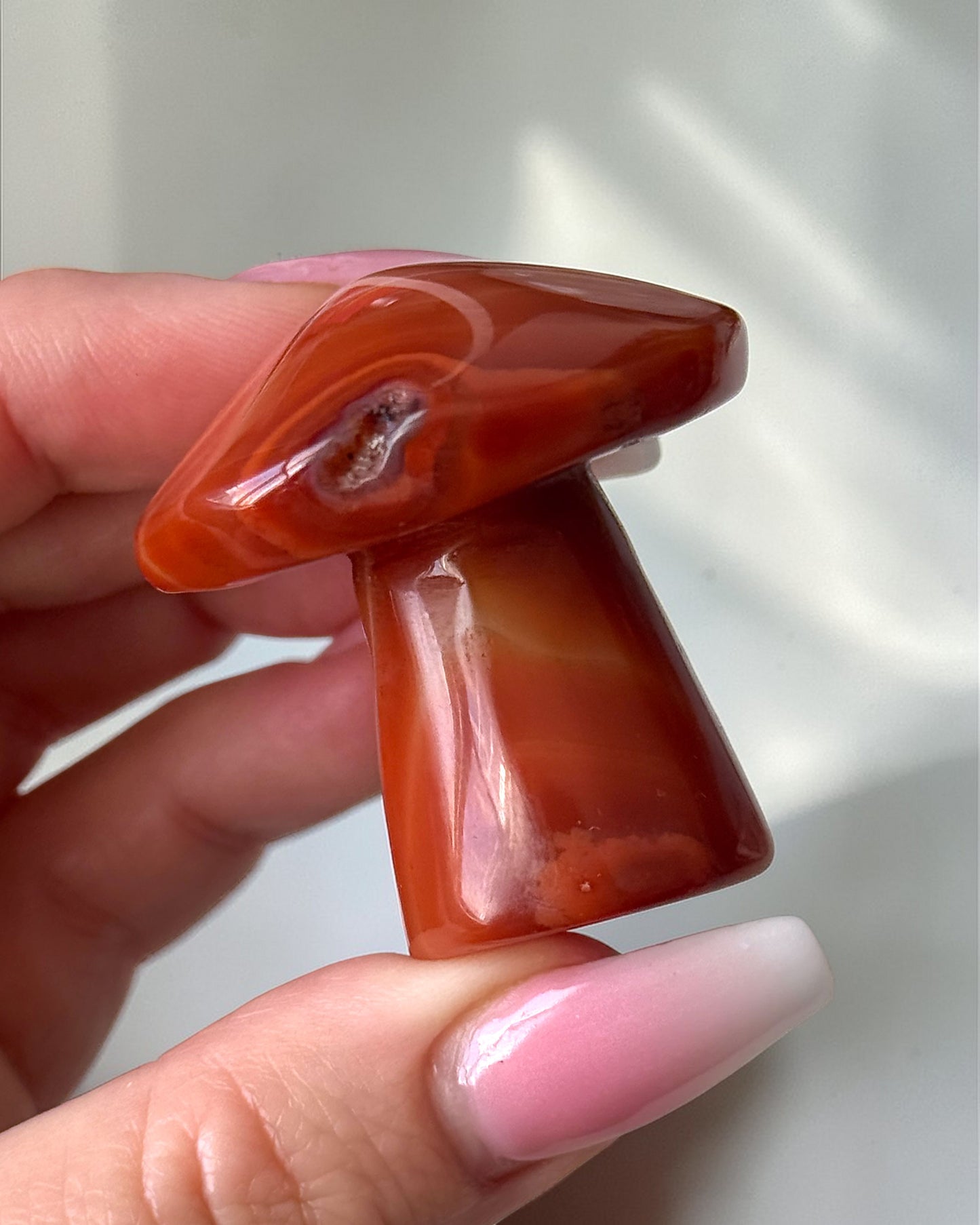 Carnelian Mushroom