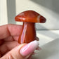 Carnelian Mushroom