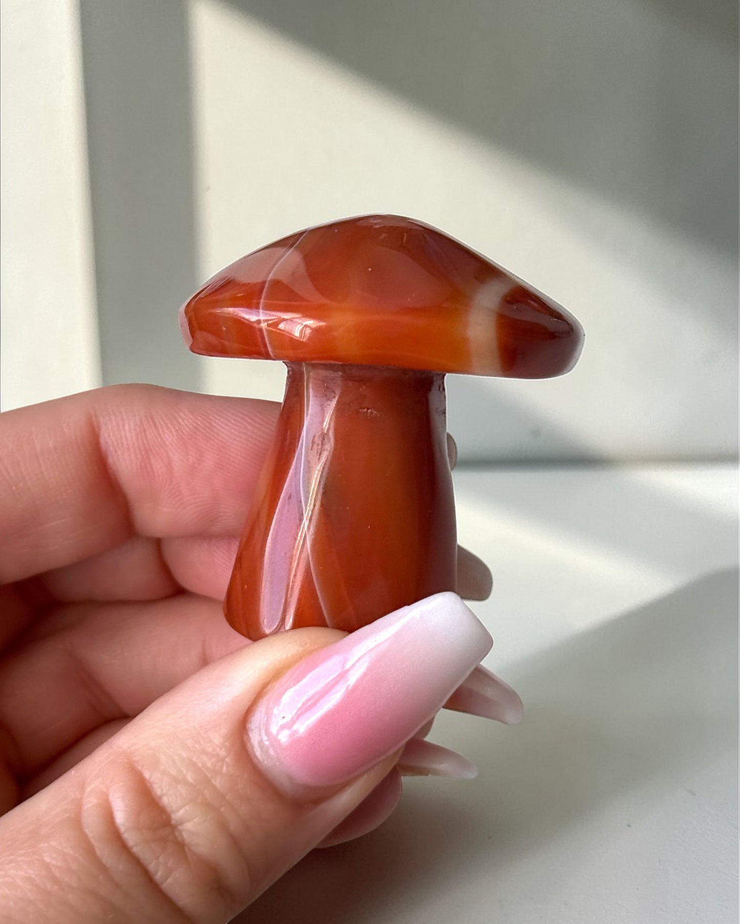 Carnelian Mushroom