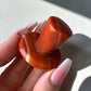 Carnelian Mushroom