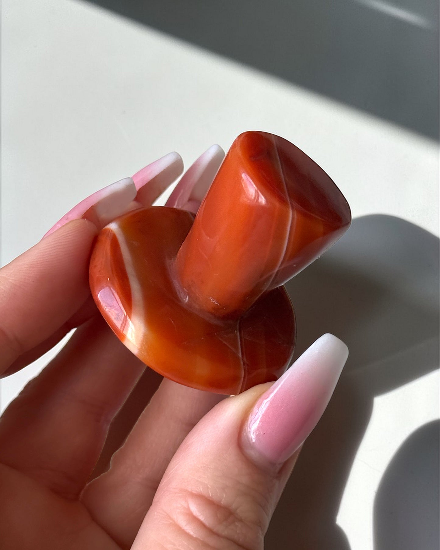 Carnelian Mushroom
