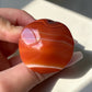 Carnelian Mushroom
