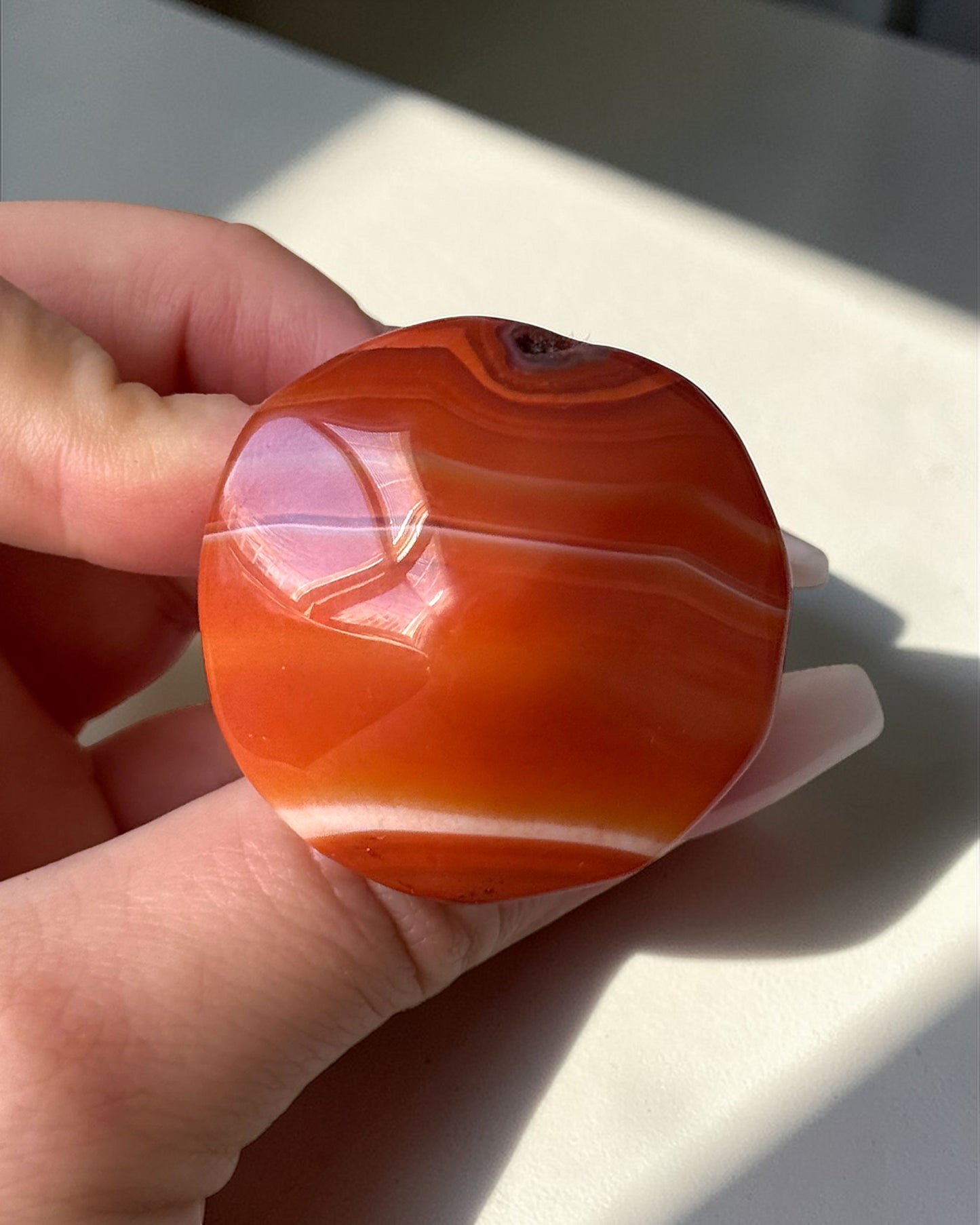 Carnelian Mushroom