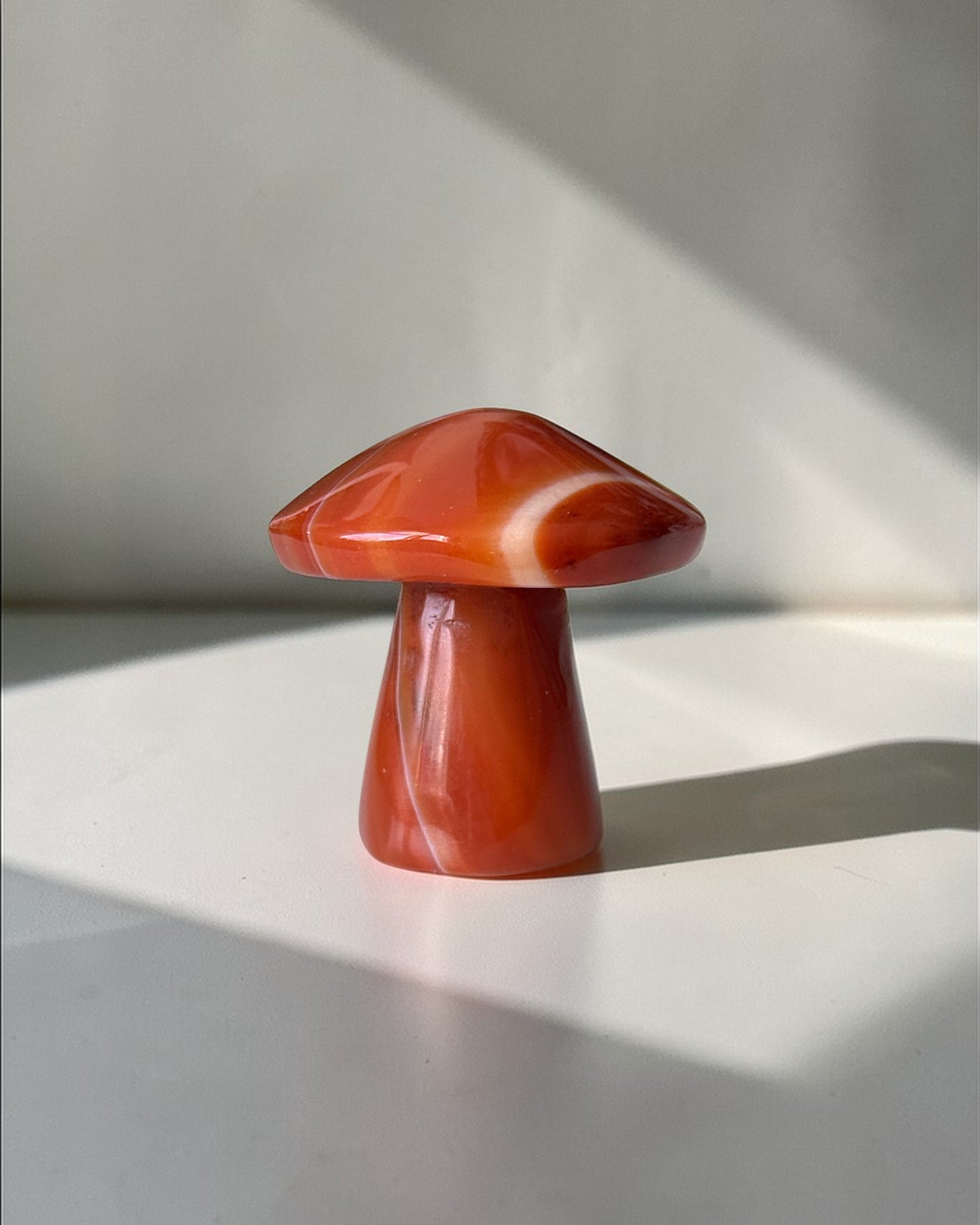 Carnelian Mushroom