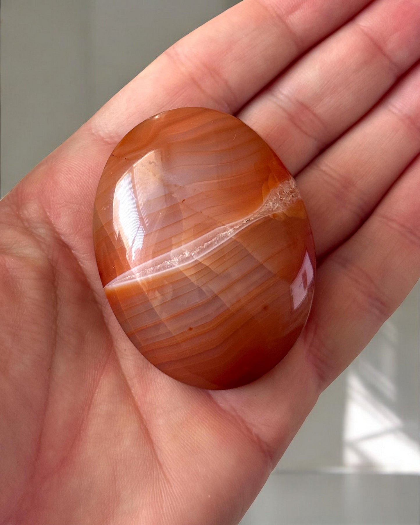 Indonesian Carnelian Palm Stone