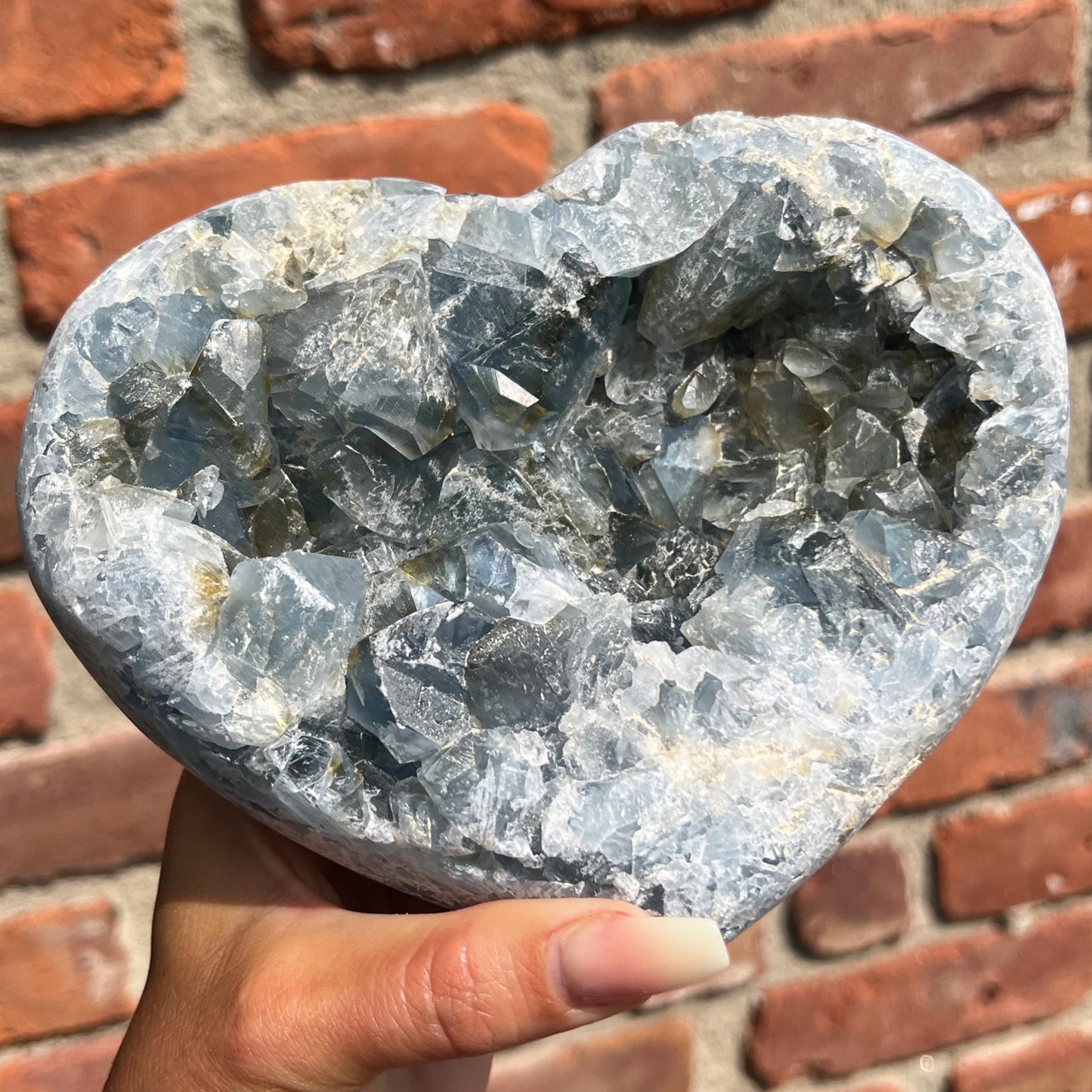 6.7lb Celestite Heart Raw Geode