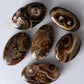 Chocolate Calcite Small Palm Stone