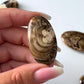 Chocolate Calcite Small Palm Stone