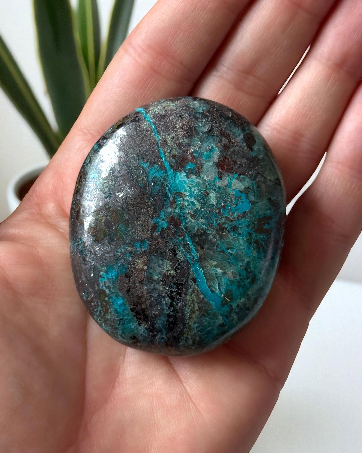 Chrysocolla with Hematite Palm Stone