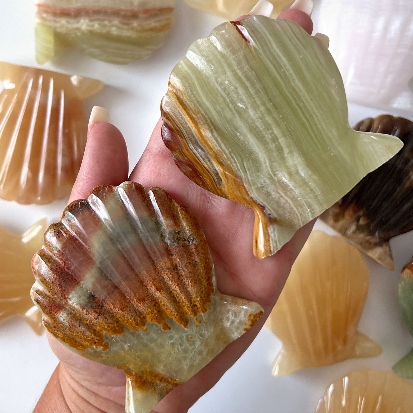 Assorted Crystal Seashells
