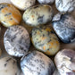 Dendritic Opal Palm Stone