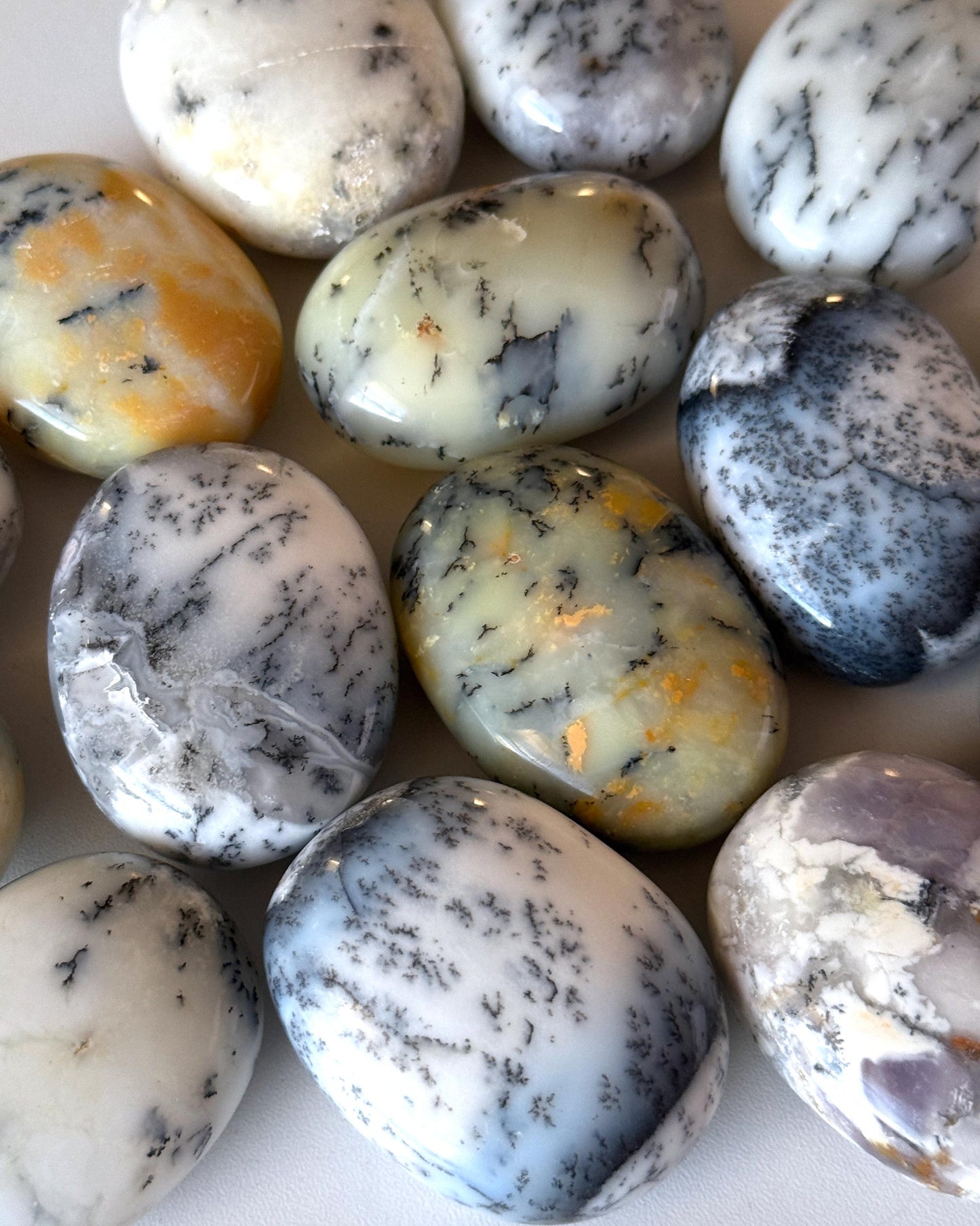 Dendritic Opal Palm Stone