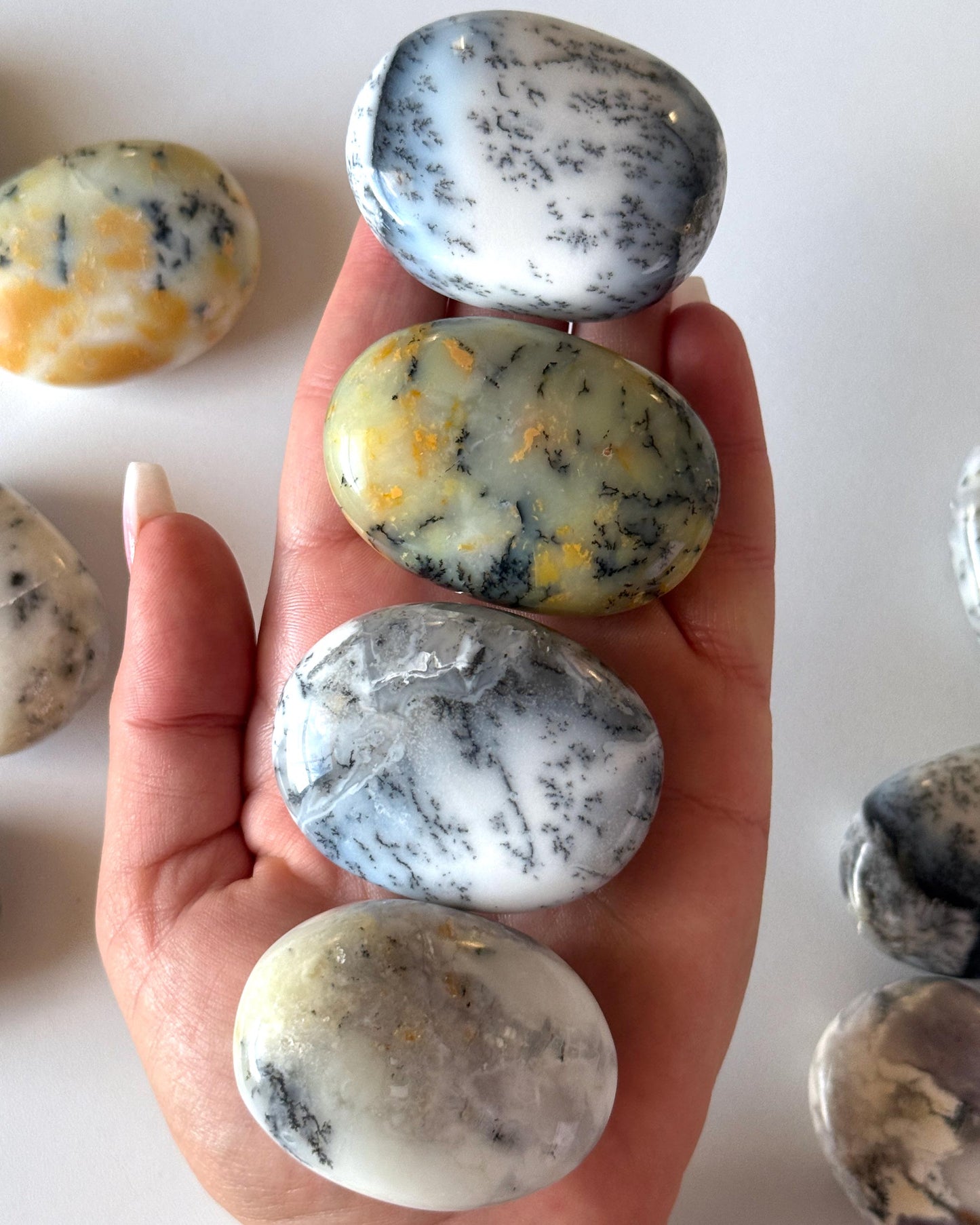 Dendritic Opal Palm Stone