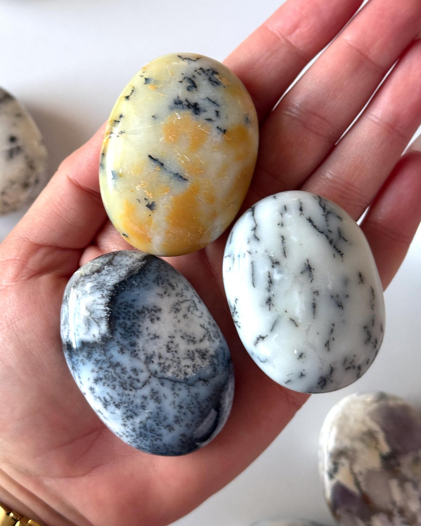 Dendritic Opal Palm Stone
