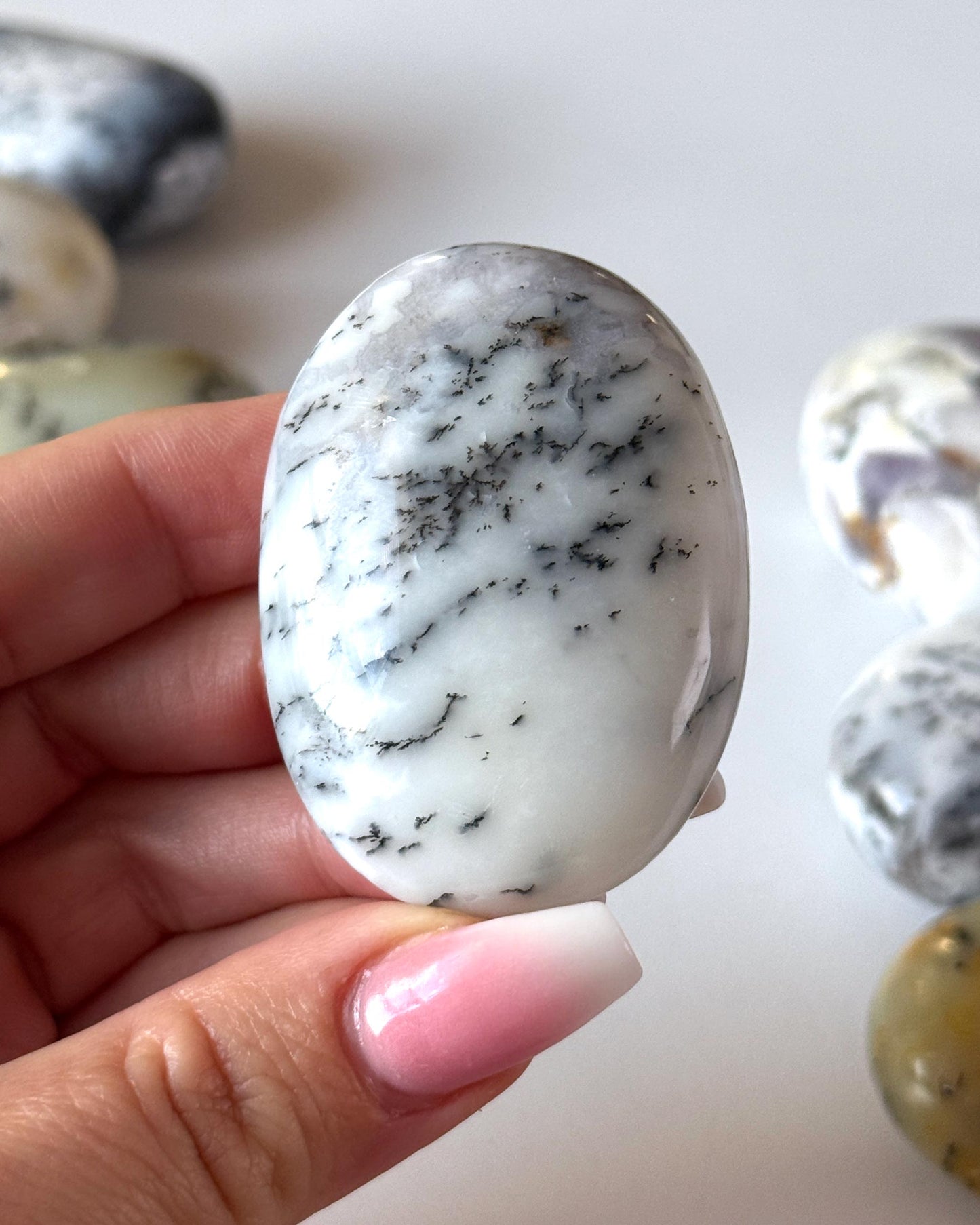 Dendritic Opal Palm Stone