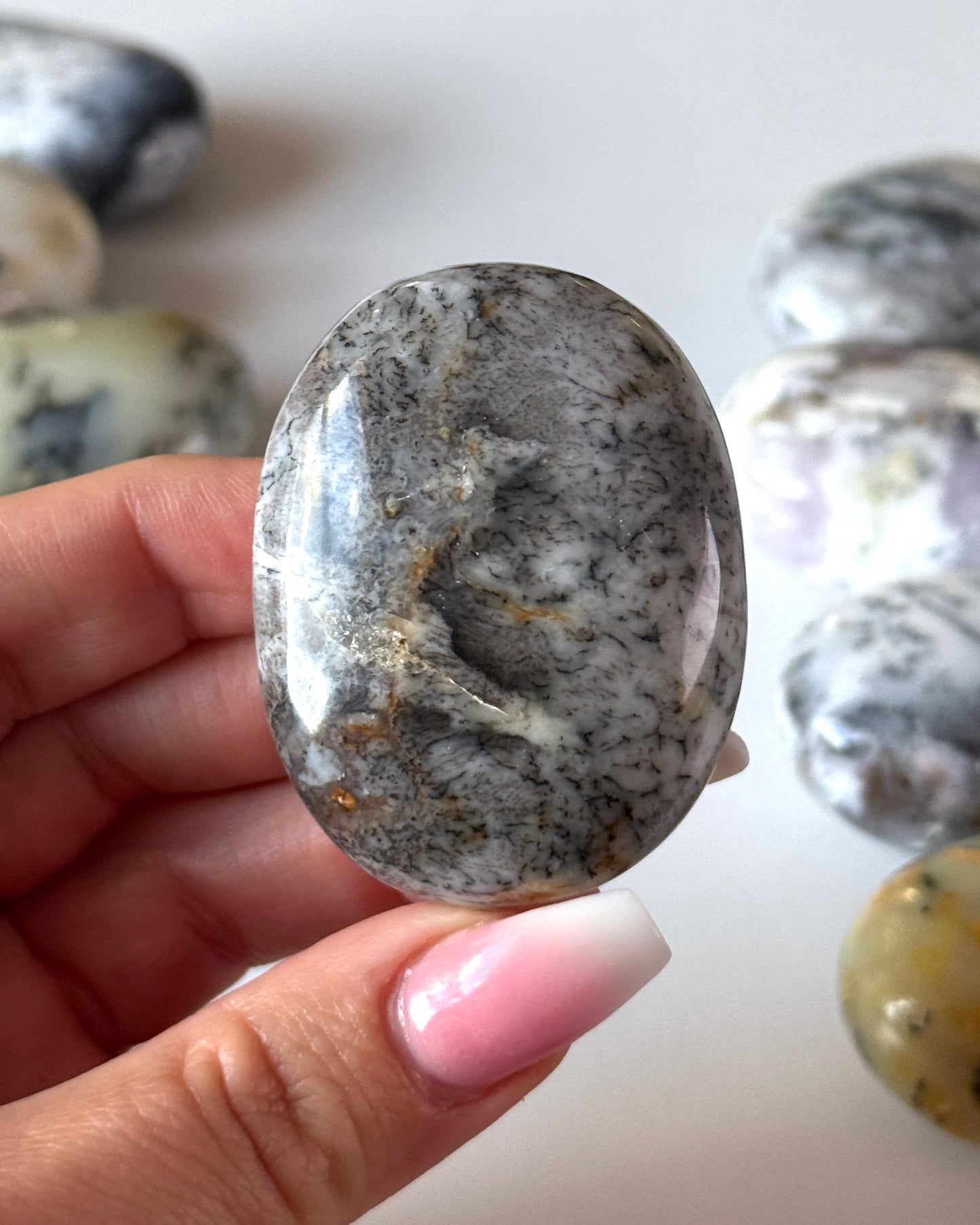 Dendritic Opal Palm Stone