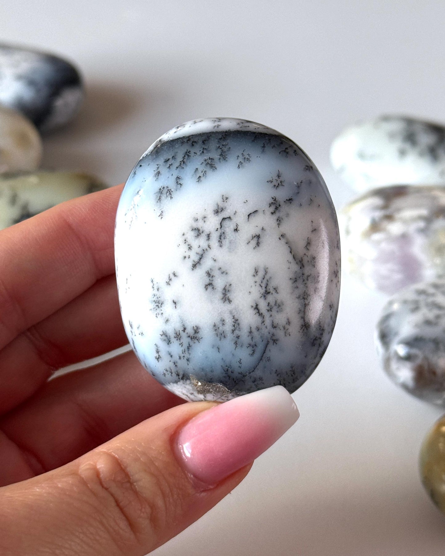Dendritic Opal Palm Stone