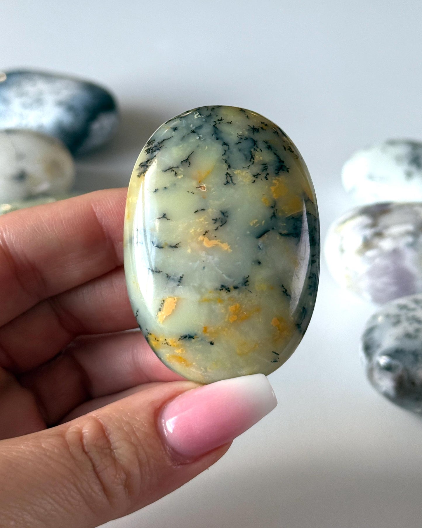 Dendritic Opal Palm Stone