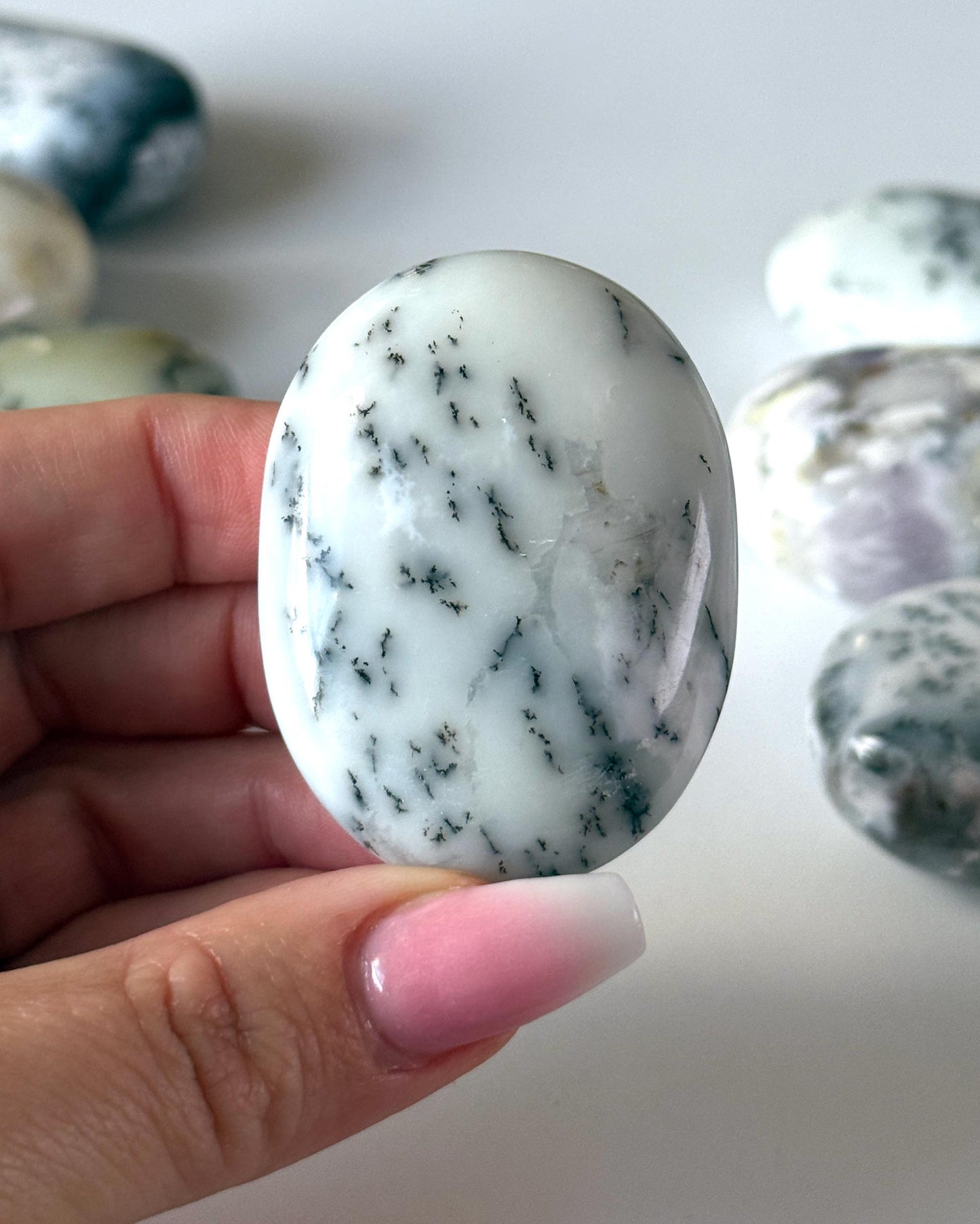 Dendritic Opal Palm Stone