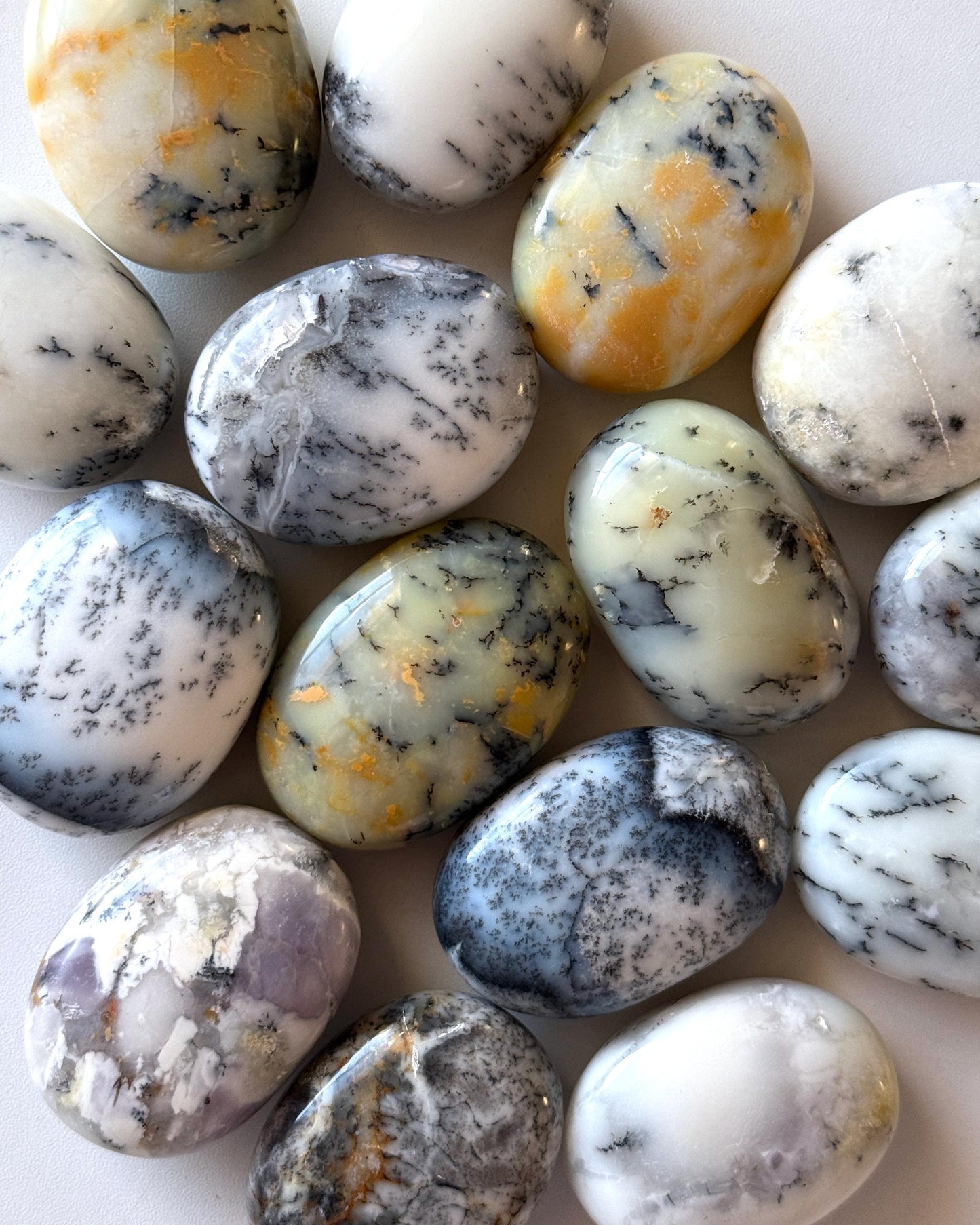 Dendritic Opal Palm Stone