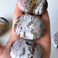 Druzy Pink Sea Jasper Palm Stone