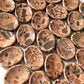 Leopardskin Jasper Worry Stone